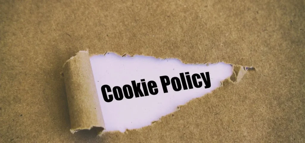 cookie-policy-of-law-lifters